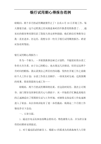 银行试用期心得报告范例