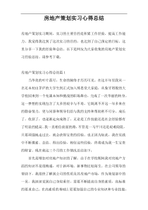 房地产策划实习心得总结