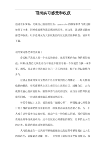 顶岗实习感受和收获