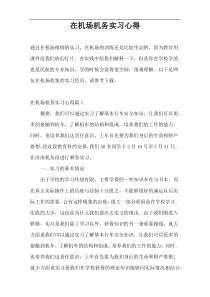 在机场机务实习心得