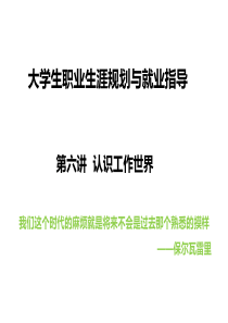 职业生涯规划第六讲(探索工作世界)