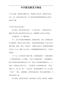 今天我当家见习体会
