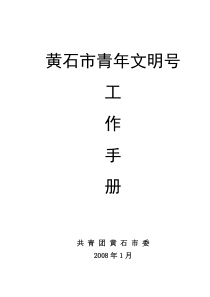 青年文明号手册-青年文明号工作手册