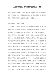 文员顶岗实习心得体会范文3篇