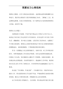 预算实习心得范例