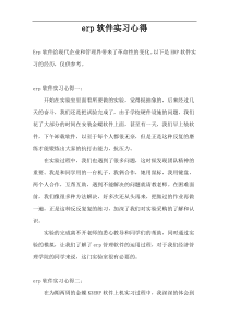 erp软件实习心得