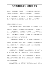 工程测量顶岗实习心得体会范文