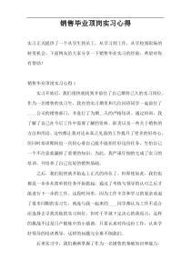 销售毕业顶岗实习心得