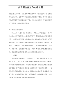 实习班主任工作心得5篇