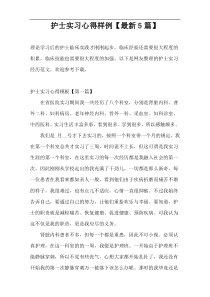 护士实习心得样例【最新5篇】