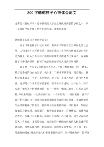 800字骆驼祥子心得体会范文