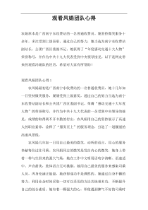 观看凤娟团队心得