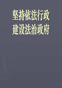 坚持依法行政建设法治政府精华版