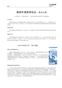 黄泥湾小学 李慧 XXXX年上学期少先队工作计划