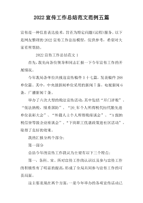 2022宣传工作总结范文范例五篇