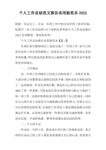 个人工作总结范文报告实用版范本2022