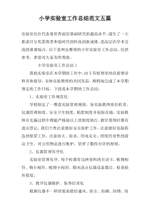 小学实验室工作总结范文五篇
