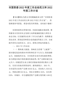 市国资委2022年度工作总结范文和2022年度工作计划