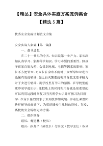 【精品】安全具体实施方案范例集合【精选5篇】