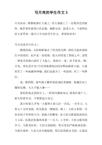 写月亮的学生作文5