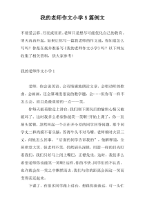 我的老师作文小学5篇例文