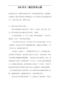 500字大一新生军训心得