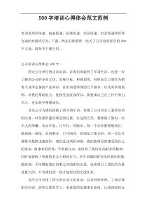 500字培训心得体会范文范例