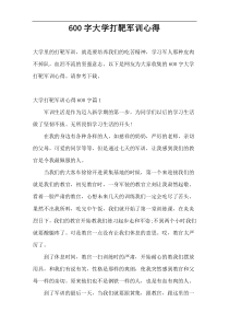 600字大学打靶军训心得