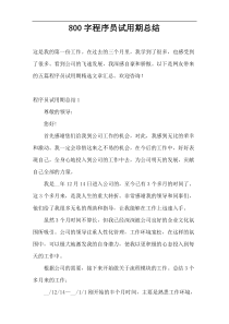 800字程序员试用期总结
