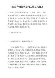 2022年度担保公司工作总结范文