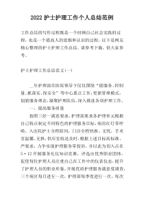 2022护士护理工作个人总结范例