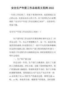 安全生产年度工作总结范文范例2022