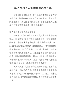 新人实习个人工作总结范文5篇