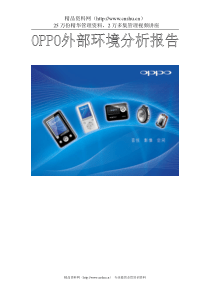 OPPO企业外部环境分析报告（DOC33页）