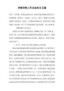 孕婴导购工作总结范文五篇