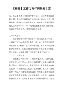 【精品】工作方案样例集锦5篇