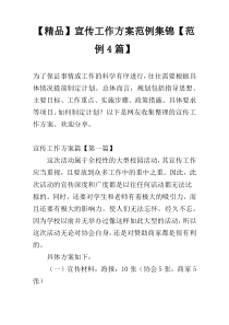 【精品】宣传工作方案范例集锦【范例4篇】