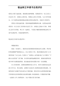 钣金转正申请书自我评价