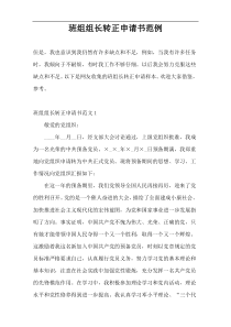 班组组长转正申请书范例
