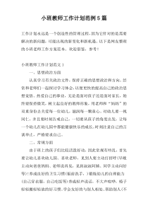 小班教师工作计划范例5篇