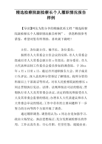精选检察院副检察长个人履职情况报告样例