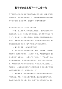 村干部农业水利下一年工作计划