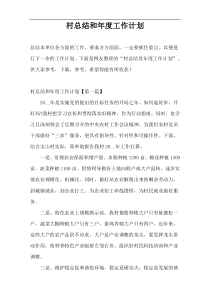村总结和年度工作计划