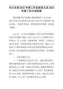市公安局2022年度工作总结范文及2022年度工作计划范例