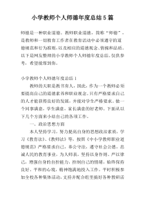 小学教师个人师德年度总结5篇