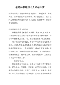教师挂职锻炼个人总结5篇