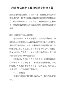 程序员试用期工作总结范文样例5篇