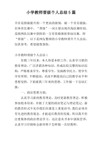 小学教师晋级个人总结5篇