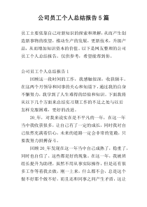 公司员工个人总结报告5篇