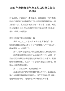 2022年度销售员年度工作总结范文报告(5篇)